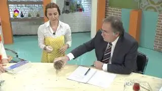 İyileşmeyen Yaralar İ&ccedil;in Karabaş Otu - Diyanet TV
