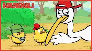 🌳✨ Rodney&rsquo;s Sky-High Story! Can He Learn to Tell the Truth? | Bananimals | Cartoons for Kids