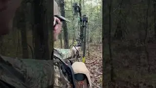 Bear whitetail max almost filled the dumpling pot!