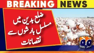Damage to cotton crop in Badin