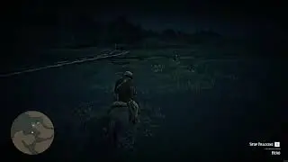 RDR2 - How to get the Silver Dapple Pinto Missouri Fox Trotter as Arthur in a SINGLE attempt