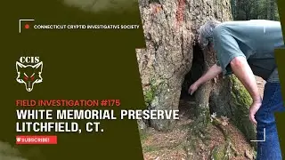CCIS | Field Investigation | White Memorial | CT | You won&rsquo;t believe what we found in the woods