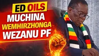 ED OILS ZANU PF VIOLENCE MACHINERY 