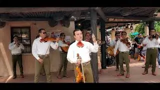 Mariachi Cobre April 14 2022