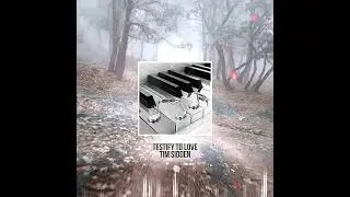 Testify To Love (Instrumental) by Tim Sidden