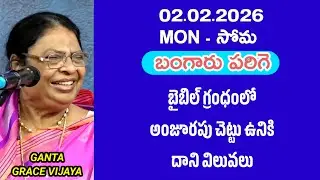 బైబిల్ గ్రంథంలో అంజూరపు చెట్టు ఉనికి - దాని విలువలు || బంగారు పరిగె || గంటా గ్రేస్ విజయ 
