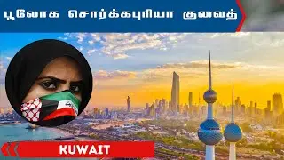Kuwait People and Economy : பூலோக சொர்க்கபுரியா குவைத்? | Interesting Facts | Arabs | News Sense