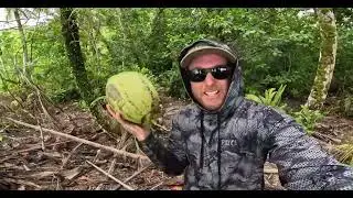 3 day Survival Challenge No Food, No Fire, No Water Remote Island