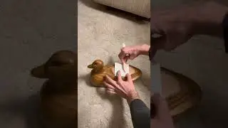 Printing at Grandma&rsquo;s House: Wooden Duck