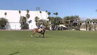 Practice chukker - Robert M.