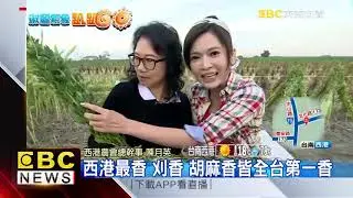 氣象趴趴GO 淑麗台南西港報氣象