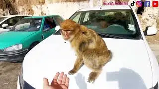 جولتى في بجاية منارة كاب كاربون الجزائر /  Béjaia Algérie 🇩🇿
