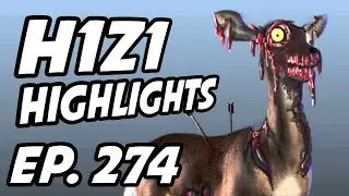 H1Z1 Daily Highlights | Ep. 274 | hairyfrogbat, littlez_tv, ApexShay, ProdigyAcesTv, Symfuhny