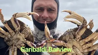 Crabbing and Spearing Garibaldi/Barview OR