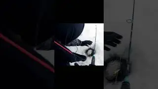 На это можно смотреть вечно )))