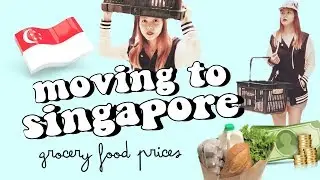 🇸🇬moving to singapore? this might help ✰ grocery & food prices singapore 🍓 ep.1⚫TheWickeRmoss