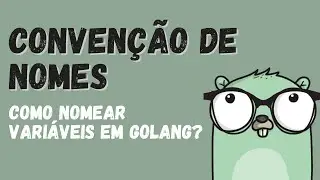 COMO DEVO NOMEAR VARI&Aacute;VEIS E FUN&Ccedil;&Otilde;ES EM GO?? | Code Style em Go #golang #go