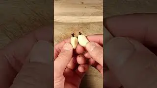 Stick cloves in garlic and you'll thank me forever