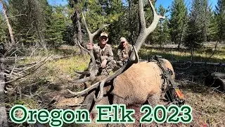 Oregon Elk // 2023 Archery Hunt