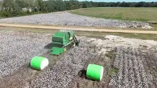 John Deere CP690 cotton picker harvesting Deltapine 2333 cotton. #farming #johndeere #georgia