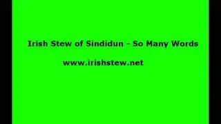 Irish Stew of Sindidun-  Patrick Malone