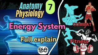 Energy system in physical education | ATP-PCR system anaerobic and aerobic system