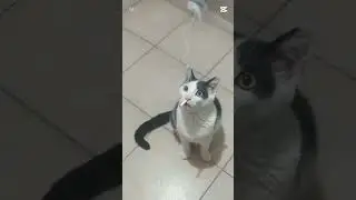 NOOO NON FUMARE LE SIGARETTE,✨Al Massimo fUmA QueLLe elEttONicA✨