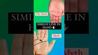 Only 2-3 % people have Simian line #astrology #palmistry
