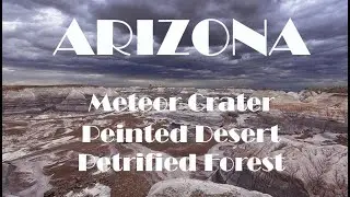METEOR CRATER FORESTA PIETRIFICATA DESERTO DIPINTO 2019 - ARIZONA - Silvia Ferroni