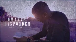 GWAYNE -  RISPONDEM
