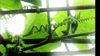 Full Session: Envision, Invent, Inspire: MIT Media Lab's Tangible Media Lab Presents, Part II