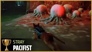 STRAY - Pacifist Trophy | PS4 - PS5