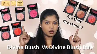 PAT MCGRATH LABS Skin Fetish Divine Blush Vs Blush Duo | Comparisons of All shades