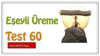 Test 60 #sayfa135