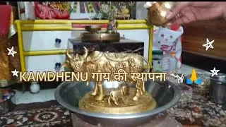 Kamdhenu gay ki sthapna#bhakti #love #video #viral #🙏🙏🙏🥰🥰