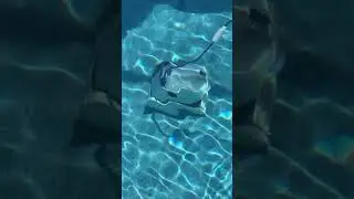 Superior Pools