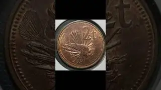 1984 2 Toea Papua New Guinea Coin #coinscollection #numismatics #collection #shortvideo