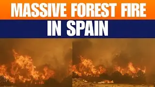 Spanish Firefighters Battle Overnight Wildfires in Galicia & Extremadura | News9