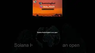 What is the difference between Solana's three best trading tools?