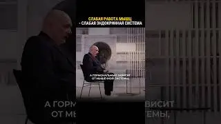 Записывайтесь на первичную диагностику по тел. +7 (812) 770-49-14!