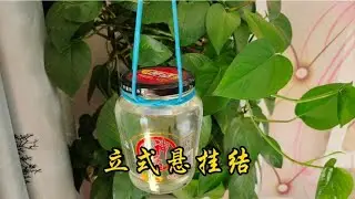 花式悬挂结，可悬挂盆景吊篮等！