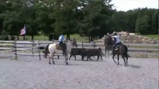 Western Ranch Du Haut Languedoc: Team Penning