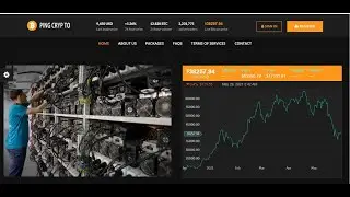 How To Design Bitcoin Investment Website and Broker Script