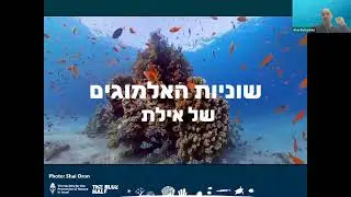 SPNI Webinar: Marine Animal Forests: A Dive Into Israel&rsquo;s Underwater Ecosystems [January 11 2026]