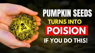Stop Now! These 8 Pumpkin Seed Mistakes Trigger Irreversible Reactions in Your Body