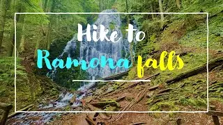 Hiking Ramona falls in Mt hood Oregon | 2021 vlog