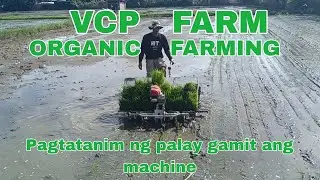 PAGTATANIM NG PALAY GAMIT ANG MACHINE