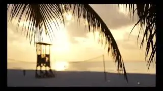 The Lab Wizard - Caribbean Queen