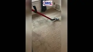 Dirty poly blend carpet cleaning