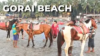Gorai beech of Mumbai / horse riding ₹100 only